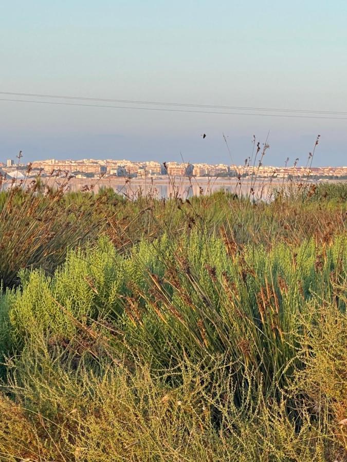 Apartamento Exclusivo Y Central Torrevieja Eksteriør bilde