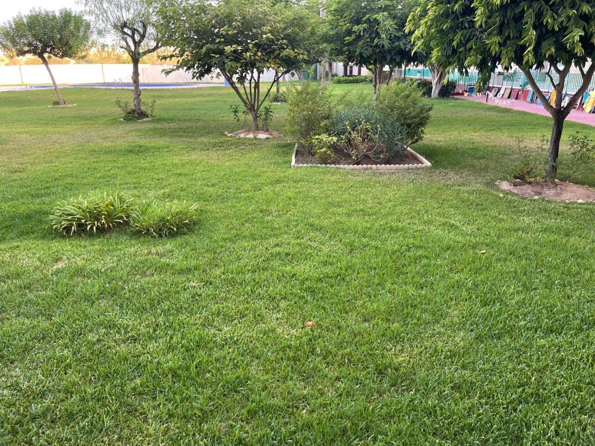 Apartamento Exclusivo Y Central Torrevieja Eksteriør bilde