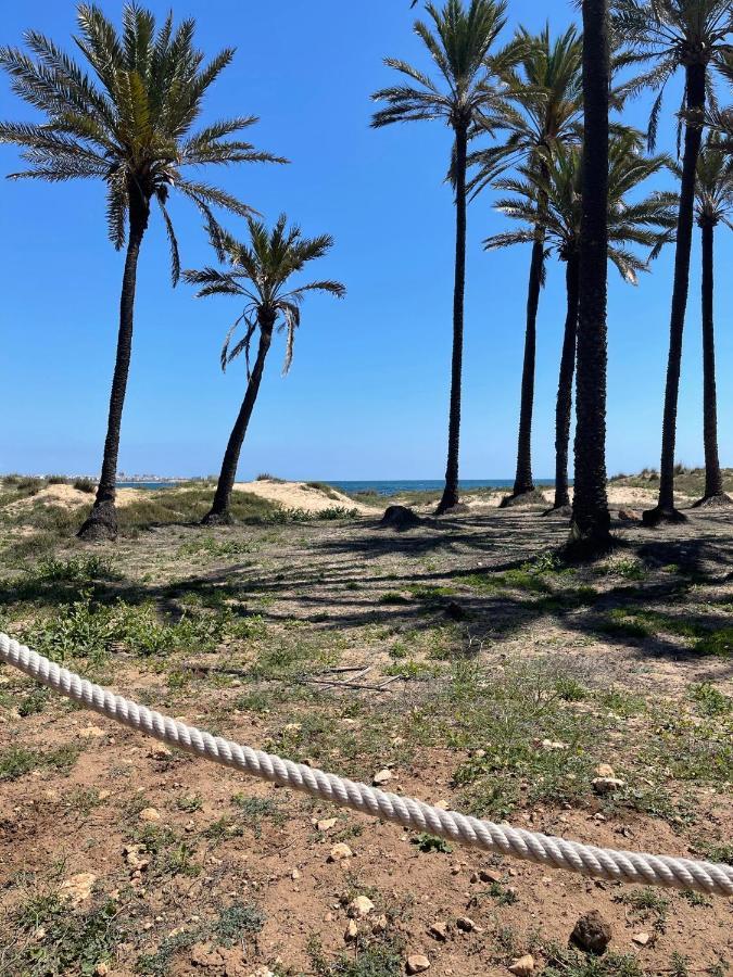 Apartamento Exclusivo Y Central Torrevieja Eksteriør bilde
